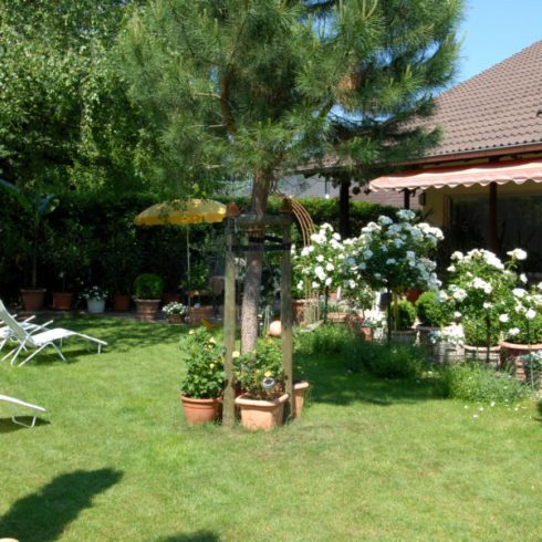 Ferienwohnungen Rebenblick