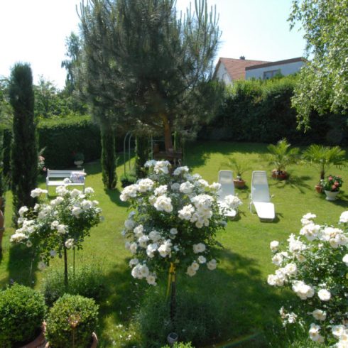 Ferienwohnungen Rebenblick